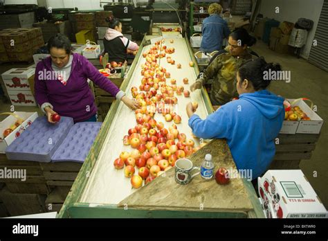 Image result for Apple Assembly Line