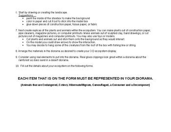 Modeling an Ecosystem Diorama Project by Caitlin Stevens | TPT