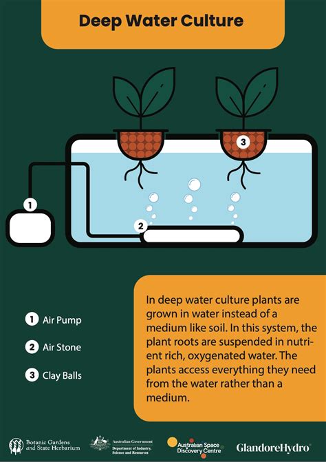 Image result for Hydroponic System Designs