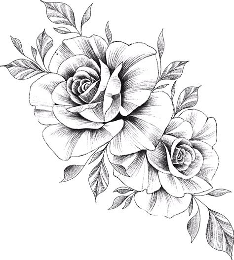 rose drawing printable