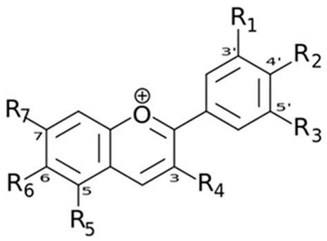 Plant-Derived Polyphenols to Prevent and Treat Oral Mucositis Induced ...