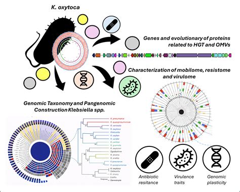 A Possible Recently Identified Evolutionary Strategy Using Membrane ...