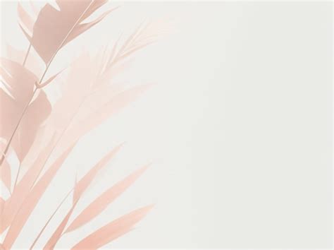 Professional Background 的图像结果