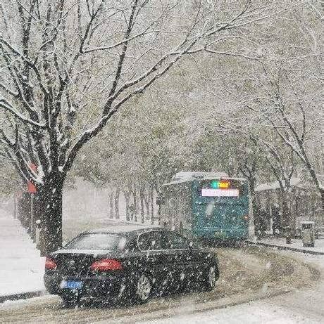 吉林迎来首场大范围降雪：雪景刷屏 交通遇阻（图）_图片_中国小康网
