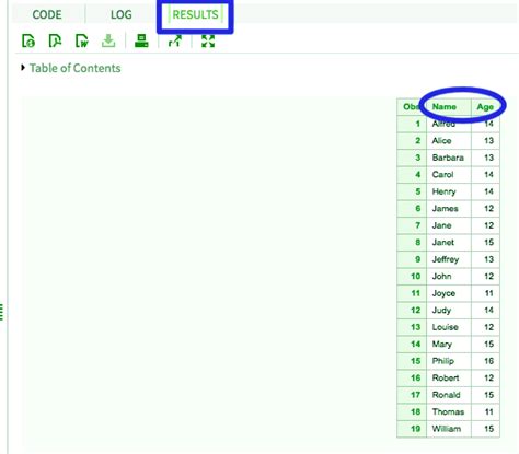 Proc SQL in SAS 的图像结果