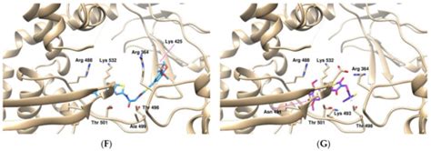 Novel Thiazolidine-2,4-dione-trimethoxybenzene-thiazole Hybrids as ...