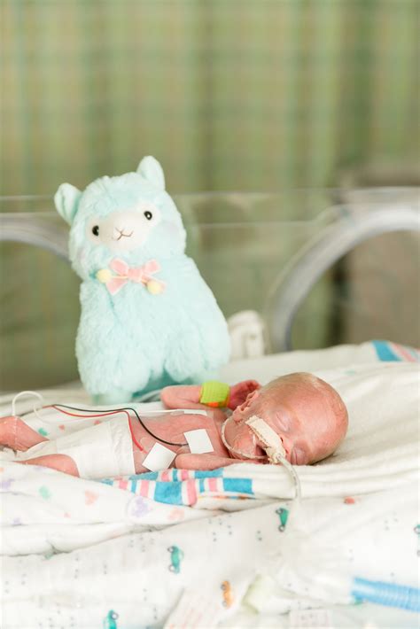 Charlie, An Angel | 26 Week Preemie | NICU Portraits | Charlotte, North ...