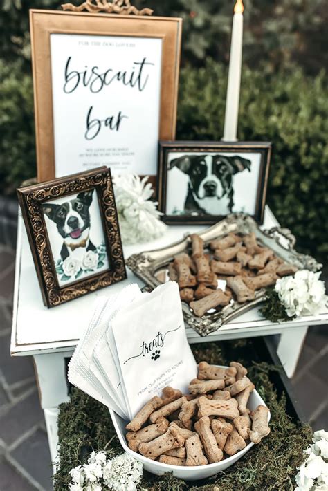 Dogs in wedding-Dog treats | Dog wedding, Cute wedding ideas, Wedding pets