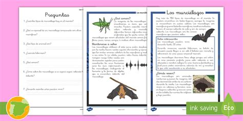 Comprensión lectora: Los murciélagos