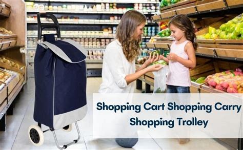 PERDANT Shopping Bag for Grocery Foldable Shopping Trolly Bag with 2 ...