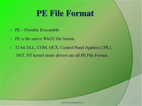 Image result for Pe64 File Format