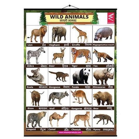 Wall Charts Small 37x50 Wild Animal - EKW0228 – Extrokids