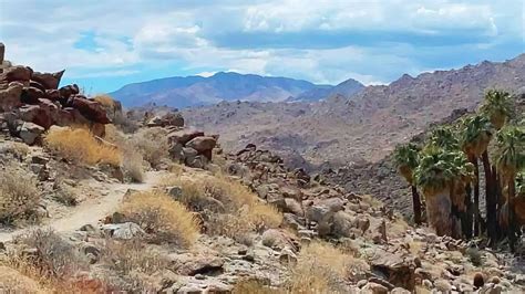 Art Smith Trail Guide