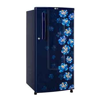 Buy 180L Single Door Fridge – GL-B181OBJB | LG IN