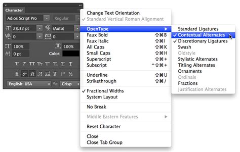Image result for OpenType Features