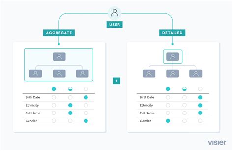 Image result for Screen Visier