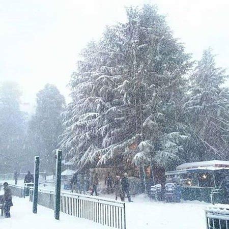 THE MALL (Murree) - Lodge Reviews, Photos, Rate Comparison - Tripadvisor