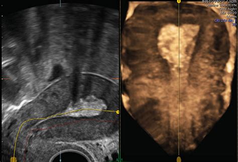 Universimed - Medizin im Fokus