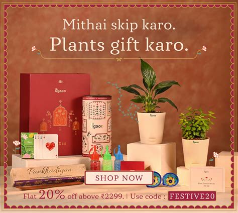Green Gifts Online- Green Gifting Ideas,Eco Friendly Plant Gifts|Ugaoo