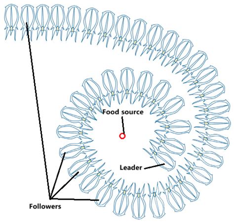 Research on Multi-Objective Flexible Job Shop Scheduling Optimization ...