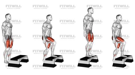 Image result for Step-Up Exercise Box