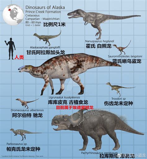 广东检出1例恐龙血 恐龙血有多罕见 _八宝网