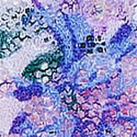 Buy Push-Up Perfect Shape Bra Online | Victoria's Secret India