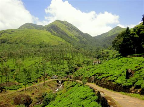 Chembra Peak Trek