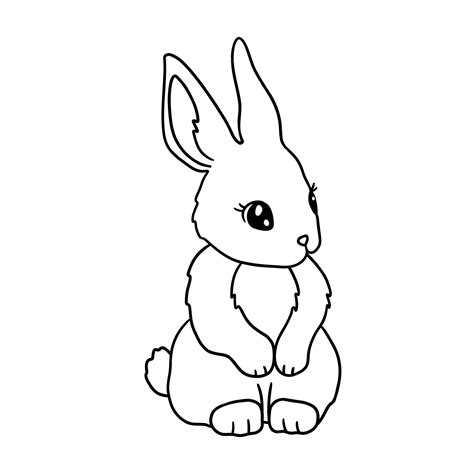 Bunny Rabbit Outline