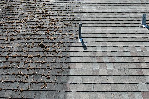 Quality Roof Cleaning Services in Hudson Valley