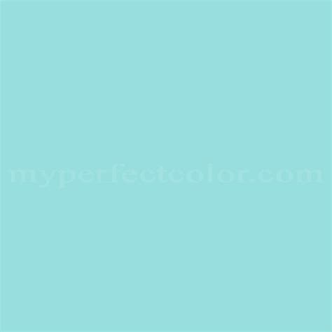 Image result for Limpet Shell Color