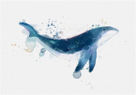 画只鲸鱼|插画|插画习作|大眼盯 - 原创作品 - 站酷 (ZCOOL)