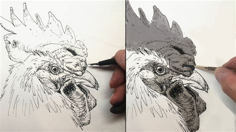 Pen and Ink Drawing Tutorials 的图像结果