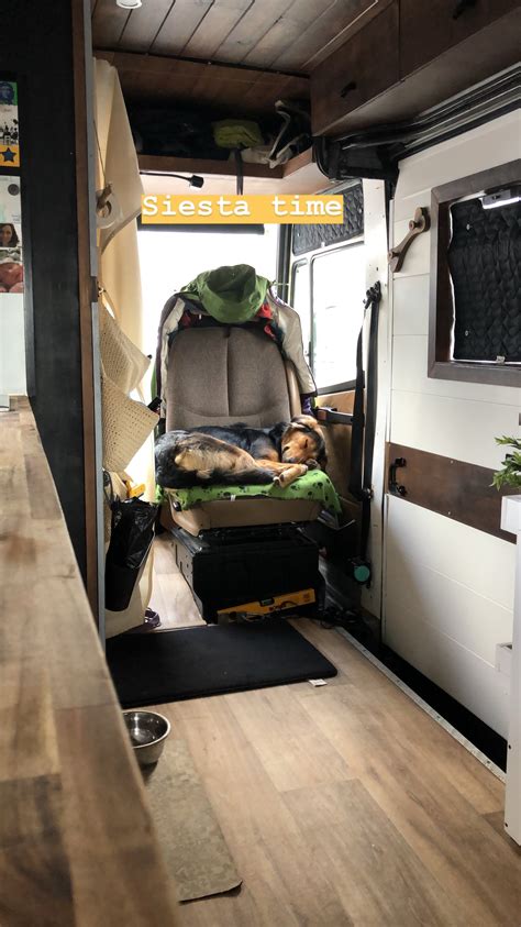 Conversion Van Builds 的图像结果