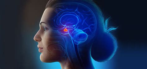 Pituitary Hormone Disorders – Symptoms, Diagnosis & Treatment