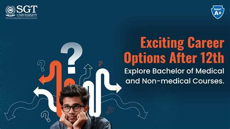Top Career Options After 12th – Explore List of Best Career Options ...