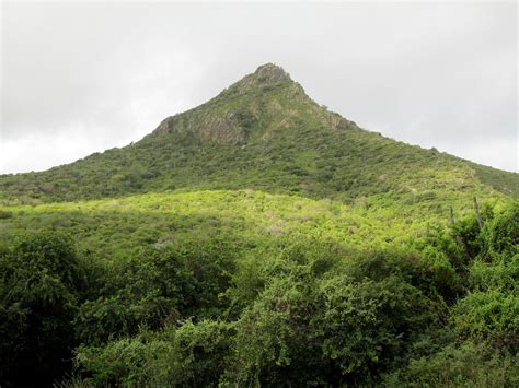 𝗧𝗛𝗘 𝗕𝗘𝗦𝗧 Hotels in Christoffel National Park of 2025 (with Prices)