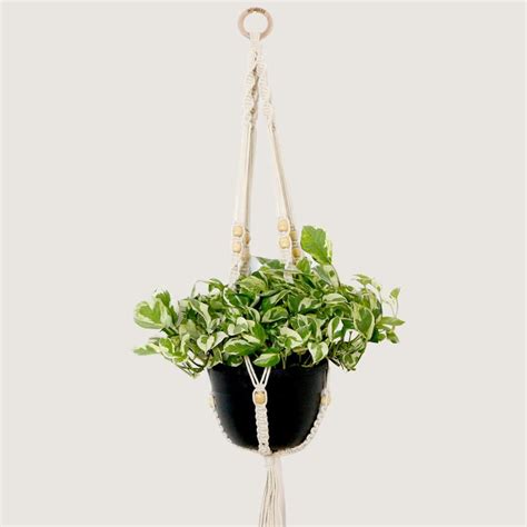 Buy Lazy Gardener Ceramic Red & Yellow Magnetic Planter Pots for ...