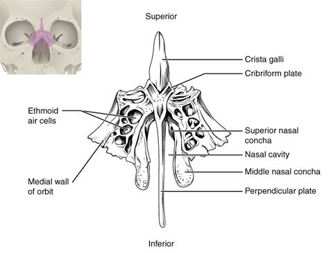 Image result for JS Objects Methods