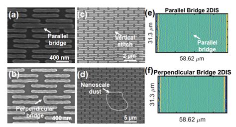 Optics Express Algorithm Template 的图像结果