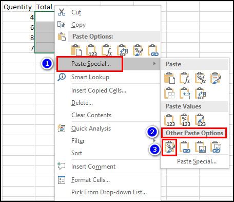 Image result for How to Copy and Paste Format Excel