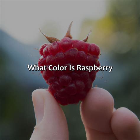 Raspberry Color 的图像结果