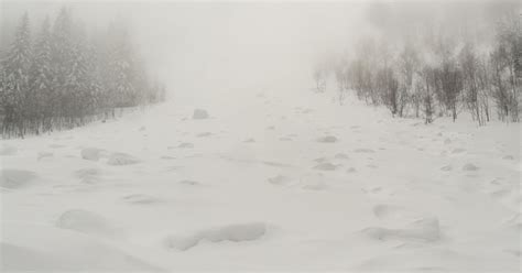 Informe de nieve Alta Selva Negra, 3.3.2014