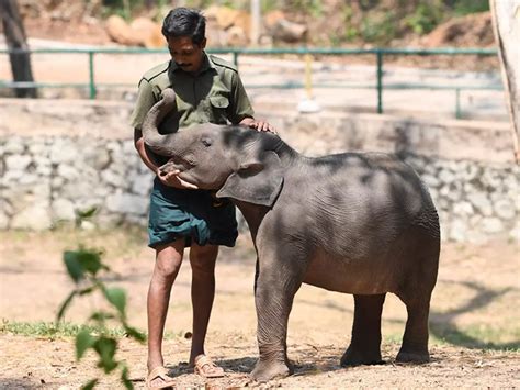 Kerala Will Soon Have The World's Largest Care And Cure Facility For ...