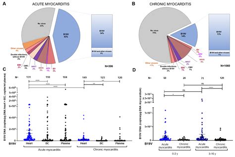 Lymphocytic Myocarditis in Children with Parvovirus B19 Infection ...