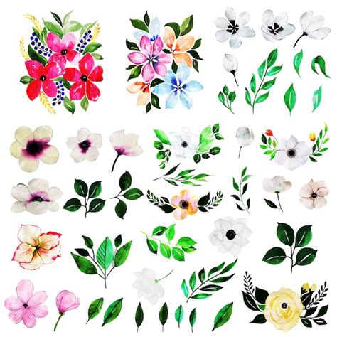 Aquarela Primavera Floral e folhas Elements Collection | Vetor Premium
