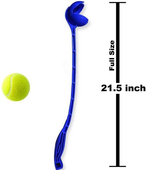 Sidearm Ball Thrower at Best Prices in India | Flipkart.com