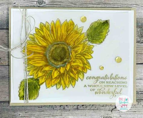 Image result for Using Patterned Vellum Card Making