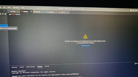Image result for C++ Debug Error vs Code