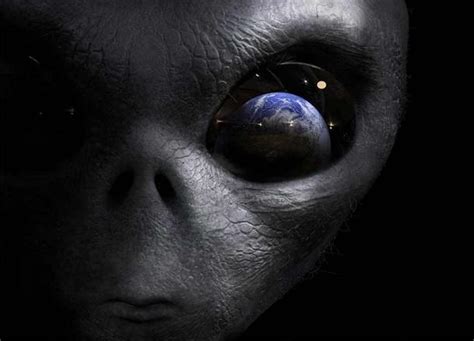 Image result for Alien Eyewitness Accounts